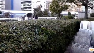 大学校花包养月5W